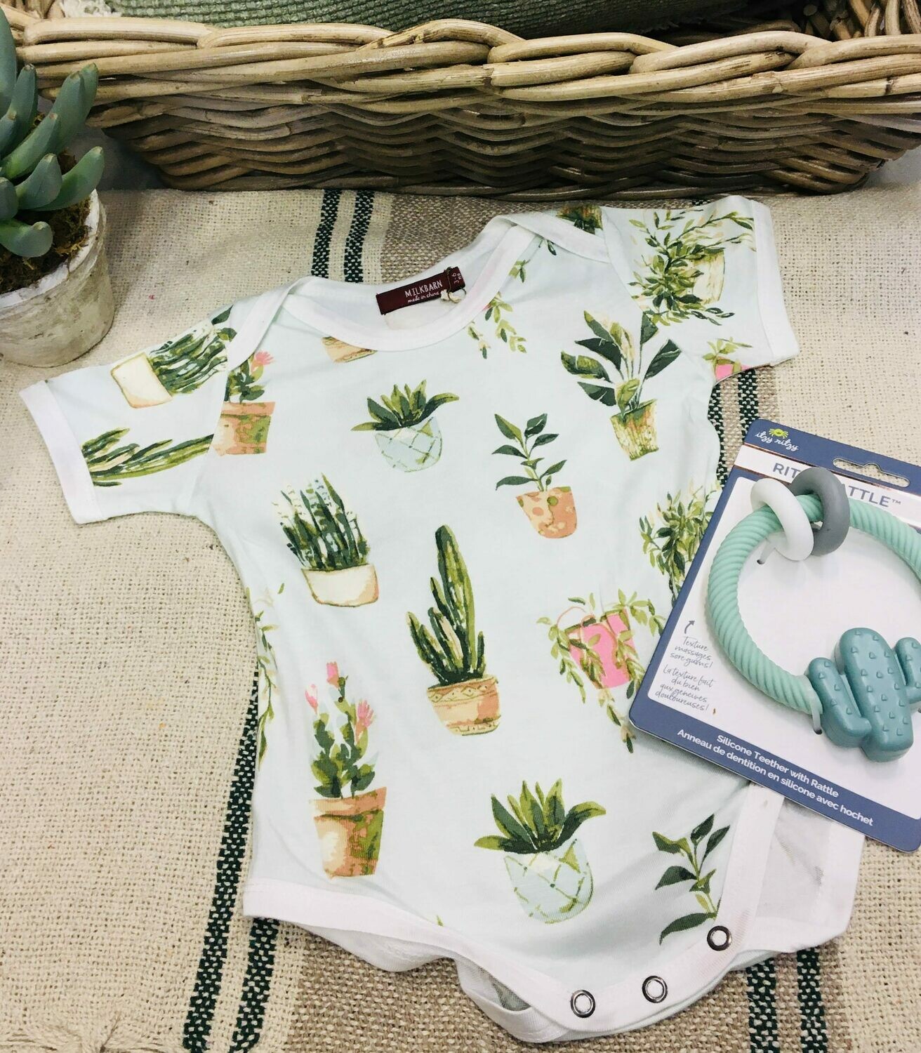 Succulent Baby Gift Basket Succulent Baby Gift Basket