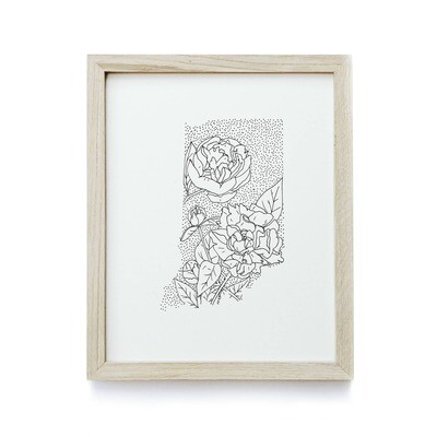 Drawing - Indiana and Peony
