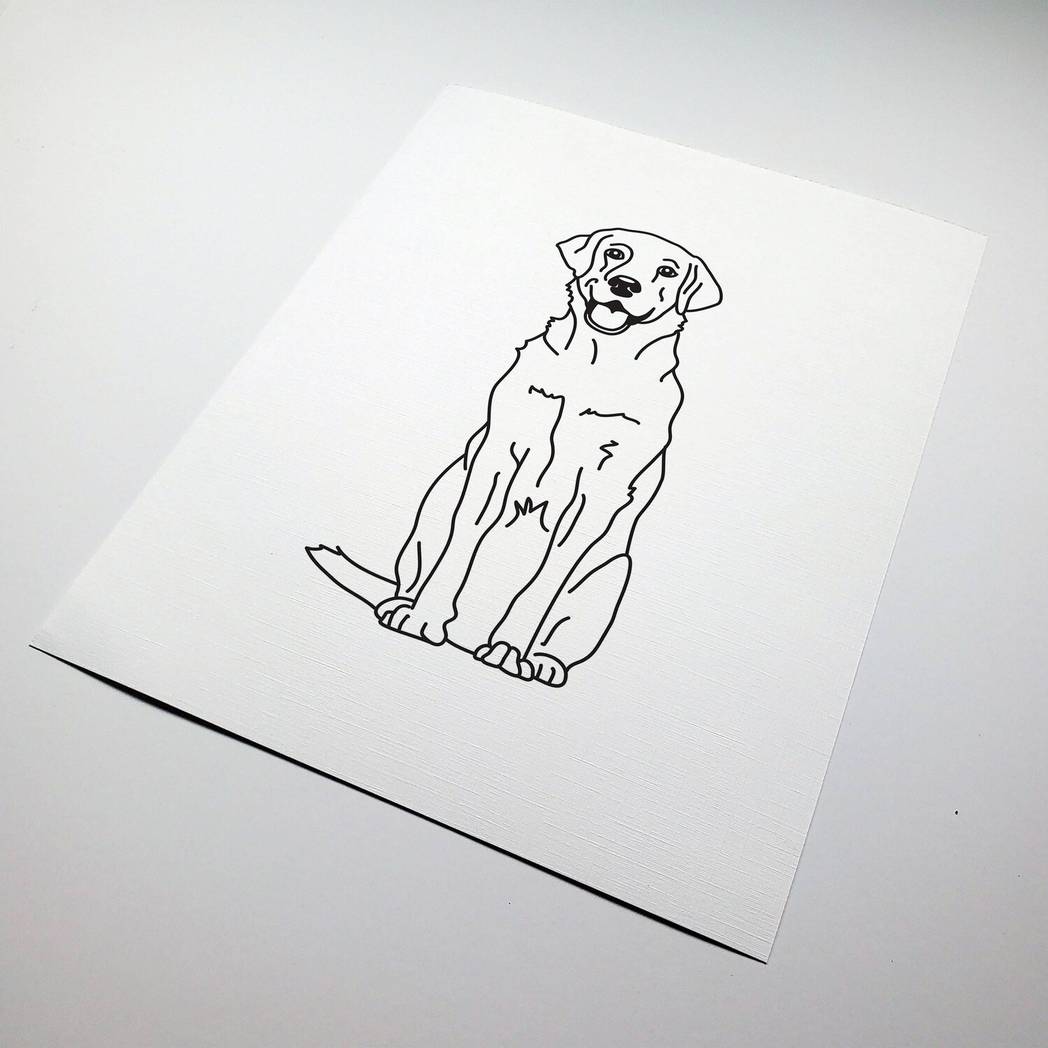 Dog Labrador Drawing Print