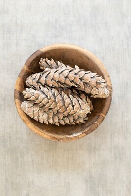 Pine Cones (frosted white)