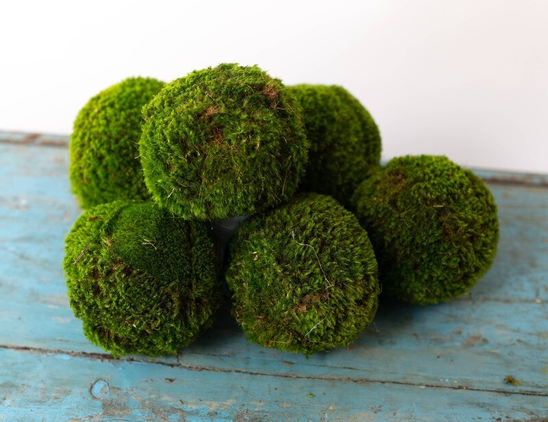 5&#39;&#39; Medium Moss Ball