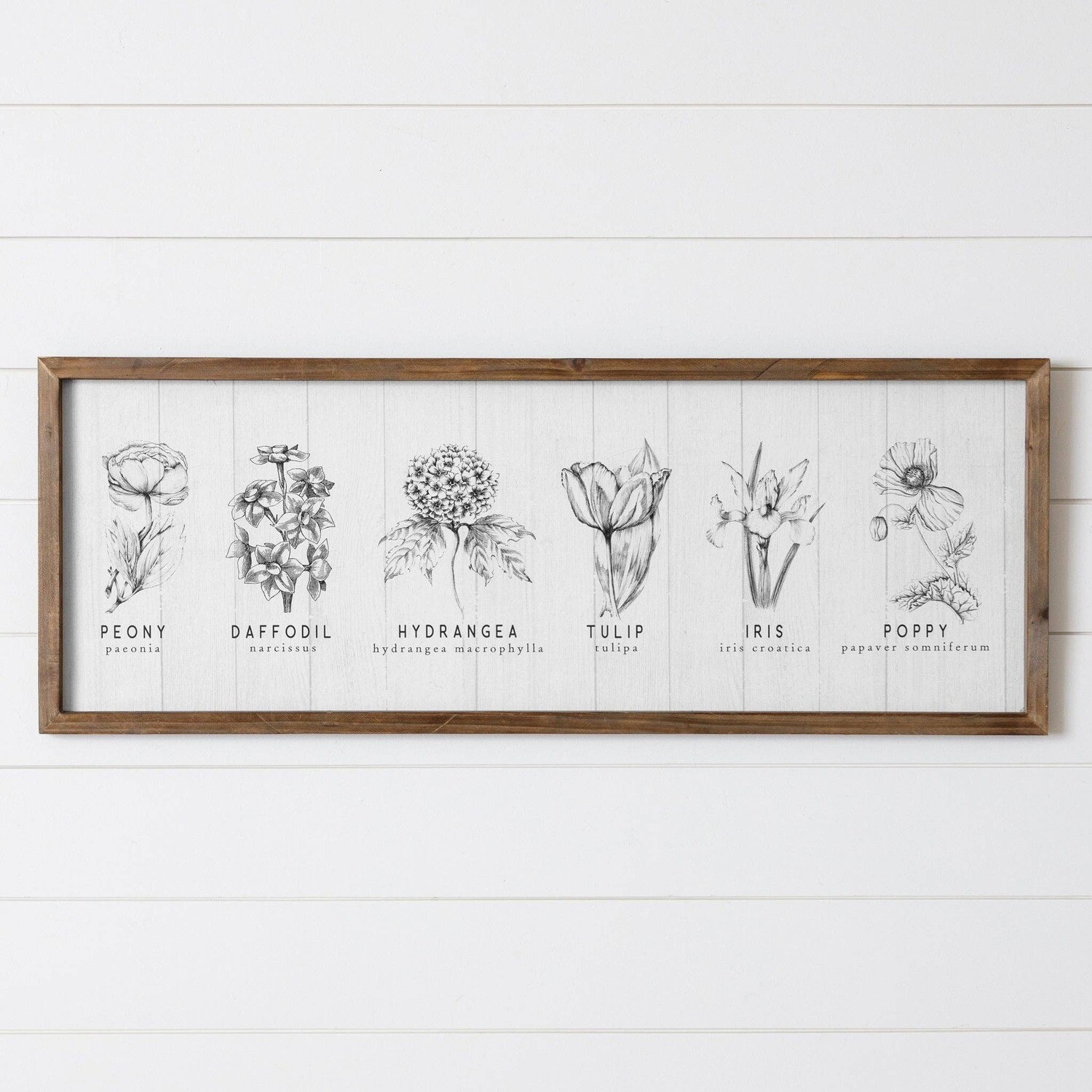 Sign - Black and White Botanicals