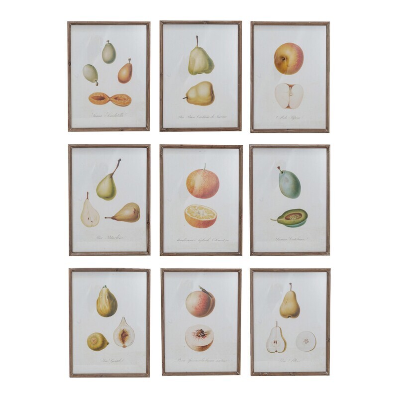 Wall Art - Fruit Series