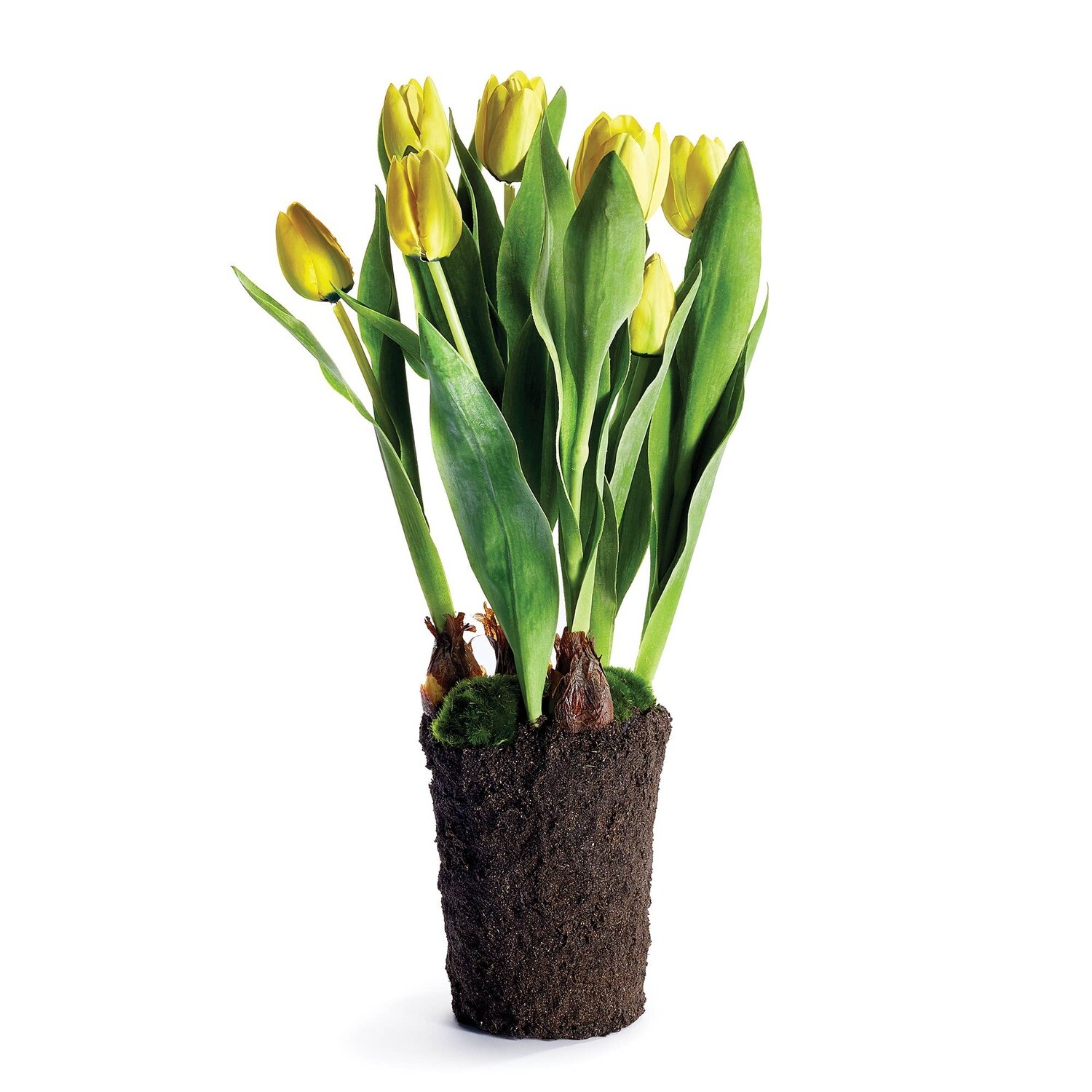 Tulip Drop-In 22&quot; Yellow