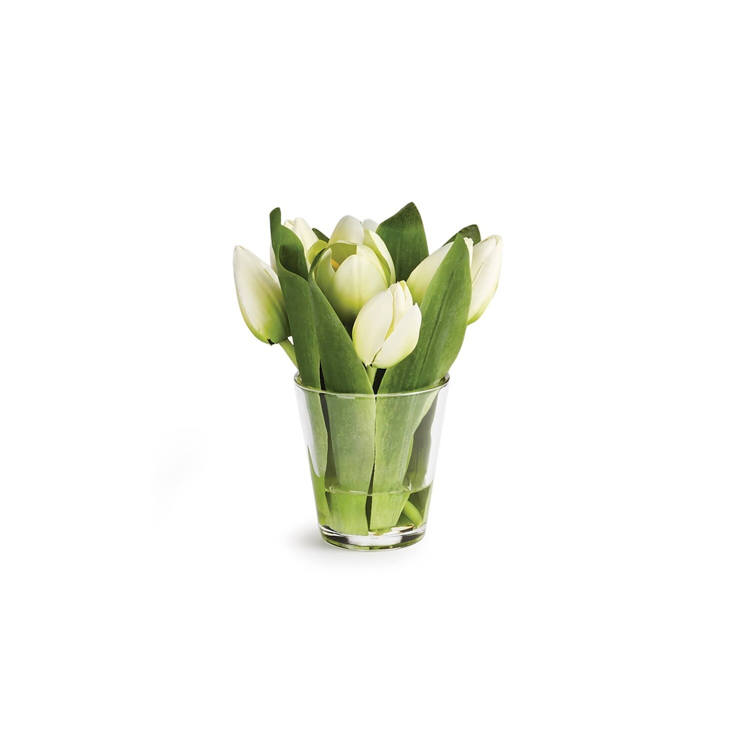 Dutch Tulip Arrangement In Vase 7.5&quot;