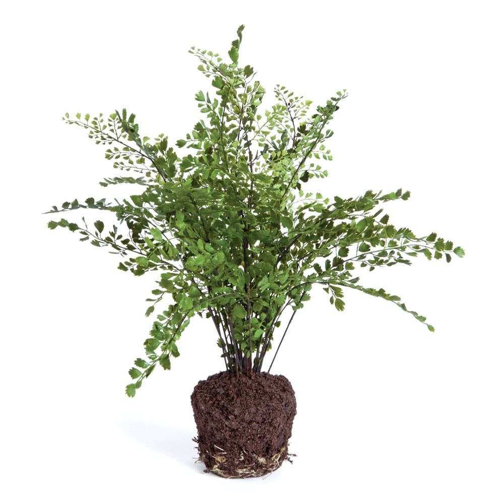 Maidenhair Drop-In 18&quot;