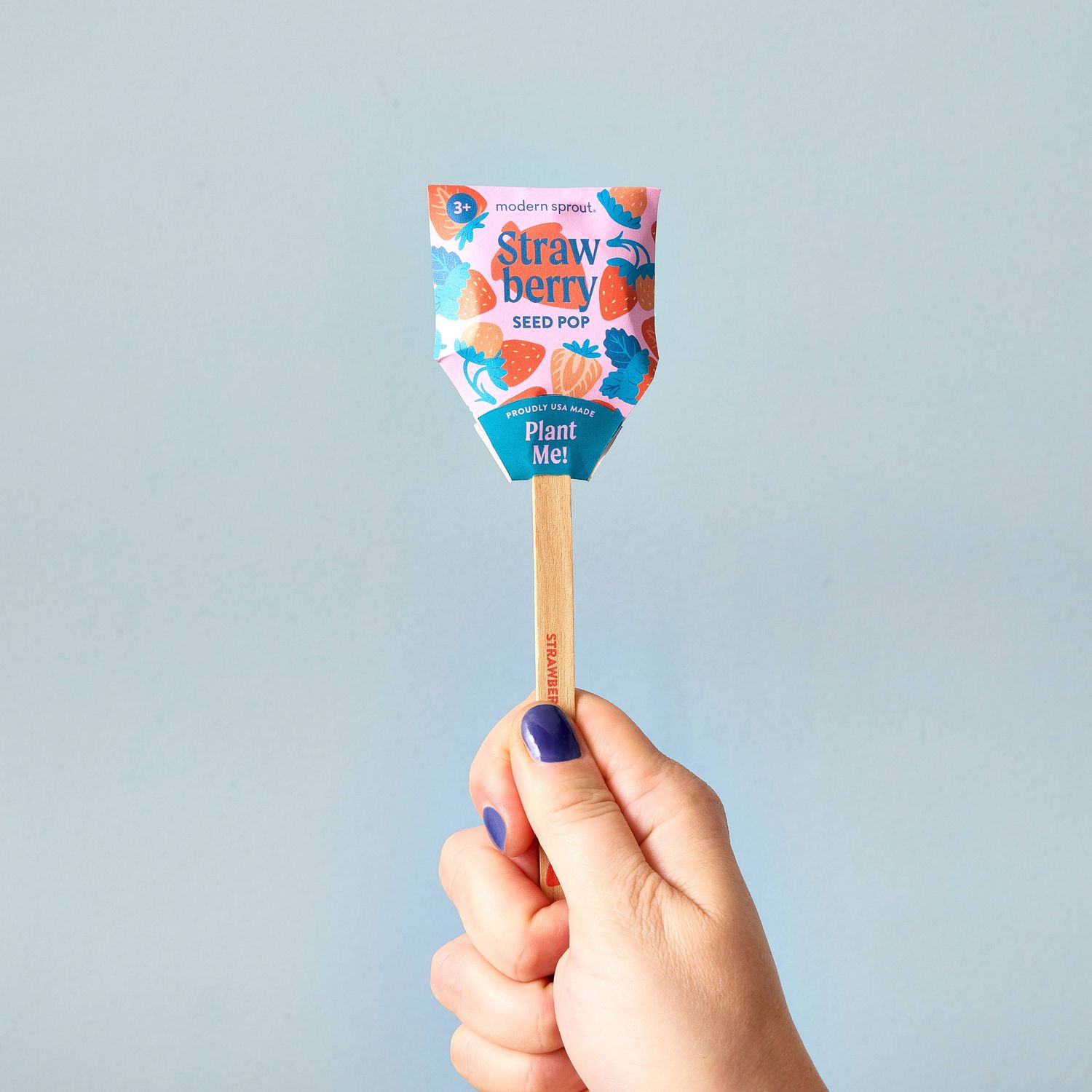 Garden Seed Pop (Single): Strawberry