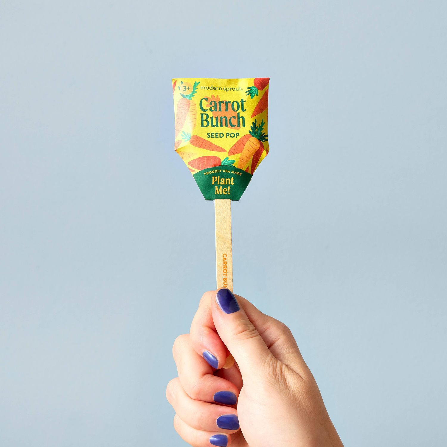 Garden Seed Pop (Single): Carrot Bunch