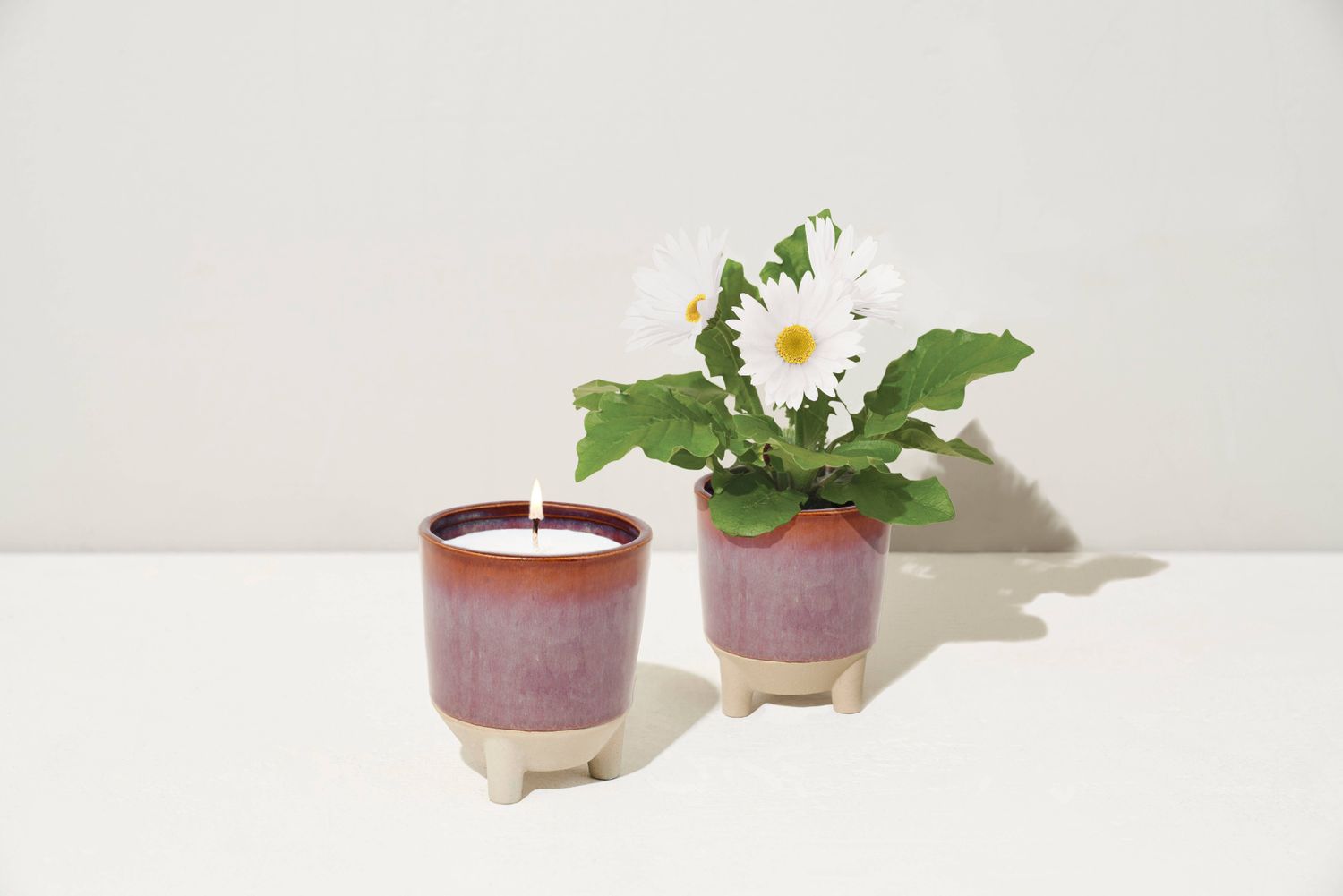 Glow &amp; Grow Candle Wildflower Fields