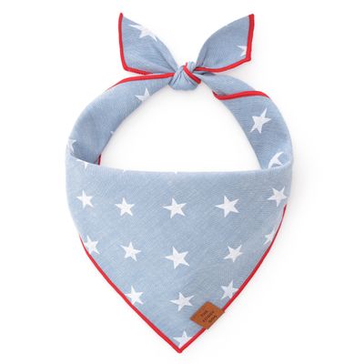 Liberty 4th of July Summer Dog Bandana