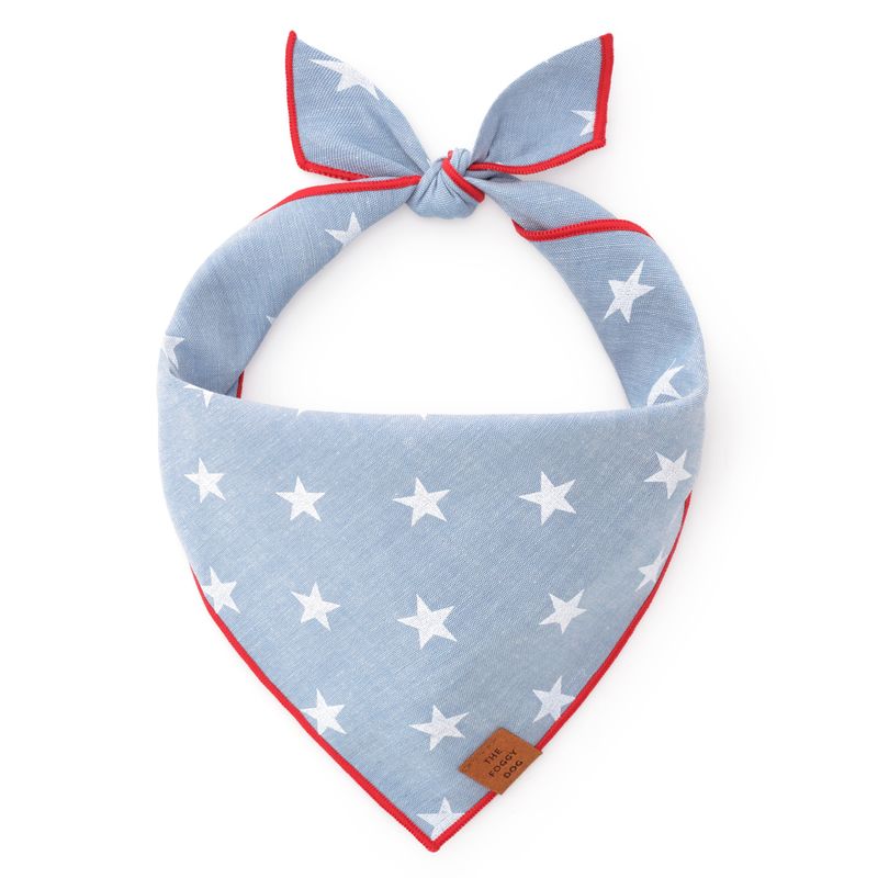 Liberty 4th of July Summer Dog Bandana: Medium
