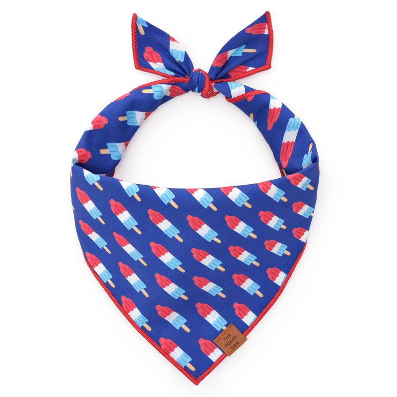 Rocket Pop 4th of July Summer Dog Bandana: Large