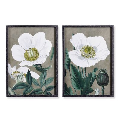 Poppy Prints, Set Of 2 Poppy Prints, Set Of 2