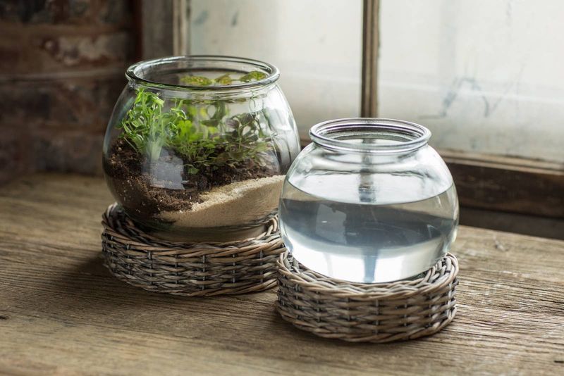 Glass and Wicker Terrarium - Large