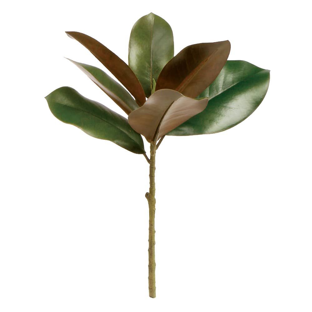 Grand Magnolia Pick 16&quot;