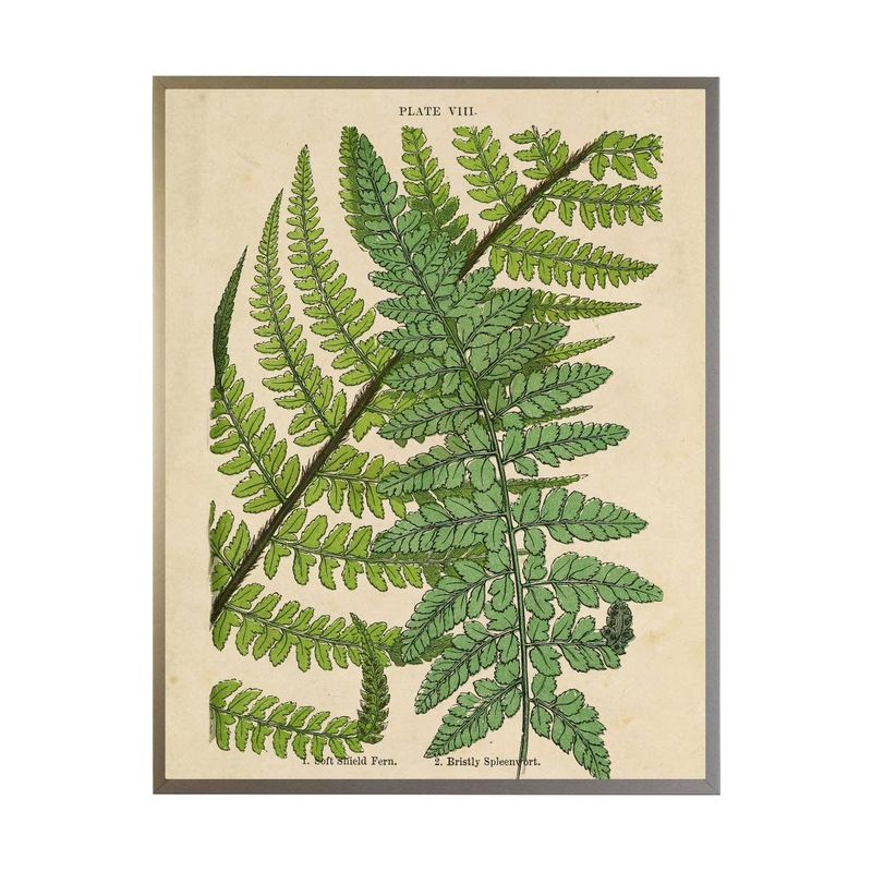 Vintage Fern Collage