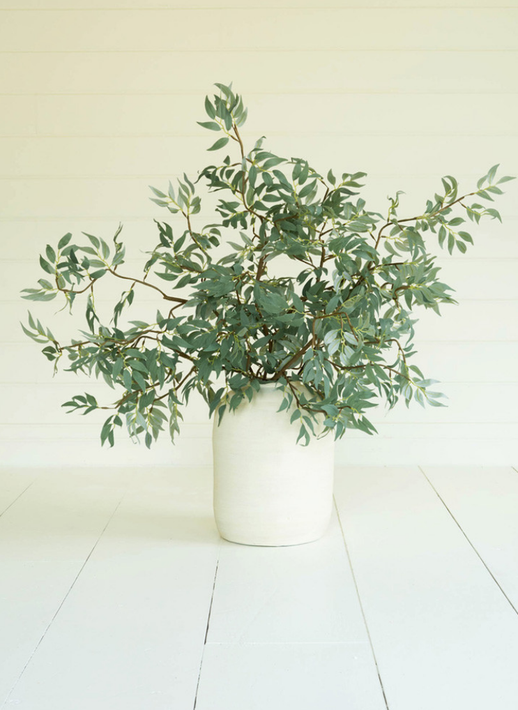 Green Sprig