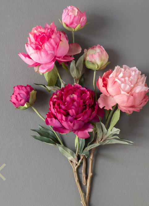 Peony