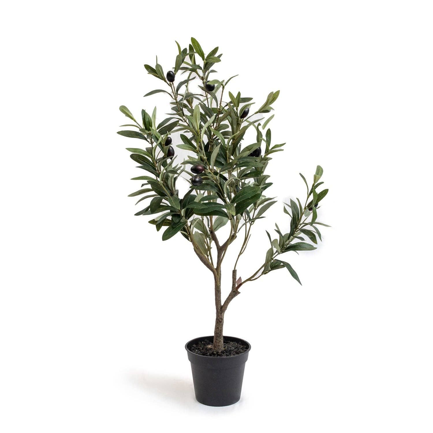 Olive Tree Drop- In, Size: Large 19&quot;x19&quot;x47&quot;