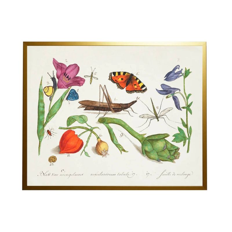 A Bugs And Flowers Vintage Book Plate
