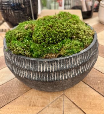 Black Distress Bowl filled with Moss Black Distress Bowl filled with Moss