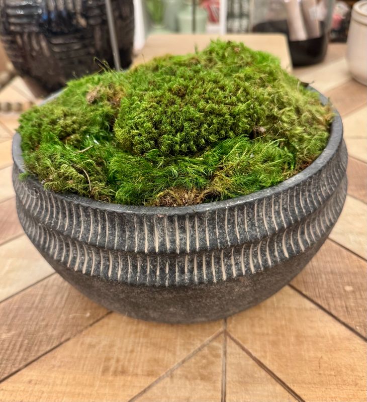 Black Distress Bowl filled with Moss