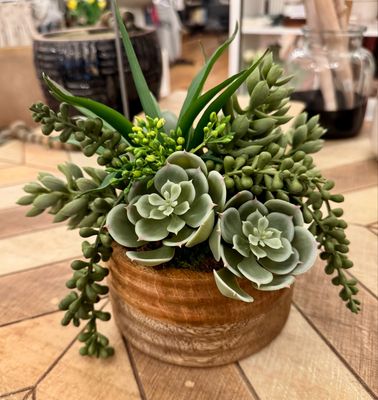 Wood Bowl Of Succulents