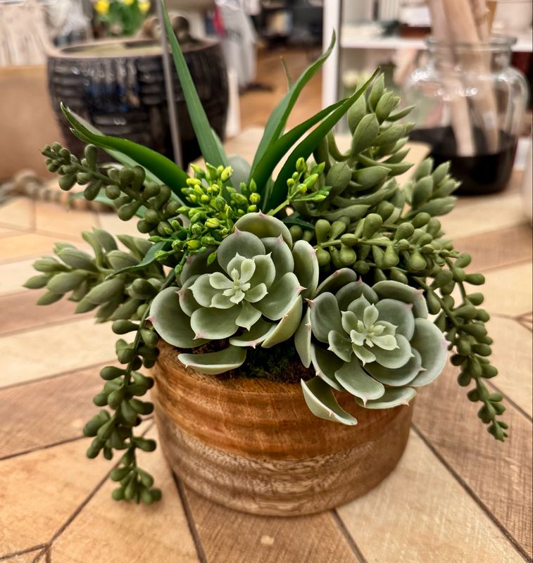 Wood Bowl Of Succulents