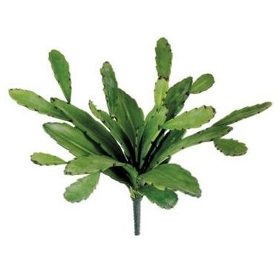 Cactus Plant - Green 17"