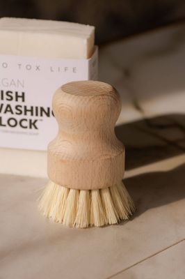 Hand Brush - Dishwashing and Vegetable