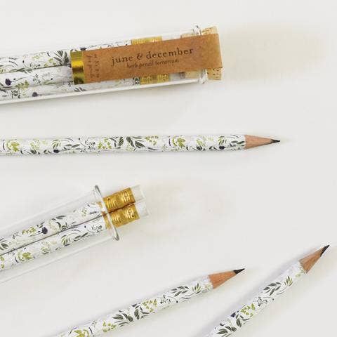 Pencil Terrarium-Herb