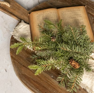 19&quot; Douglas Fir Spray