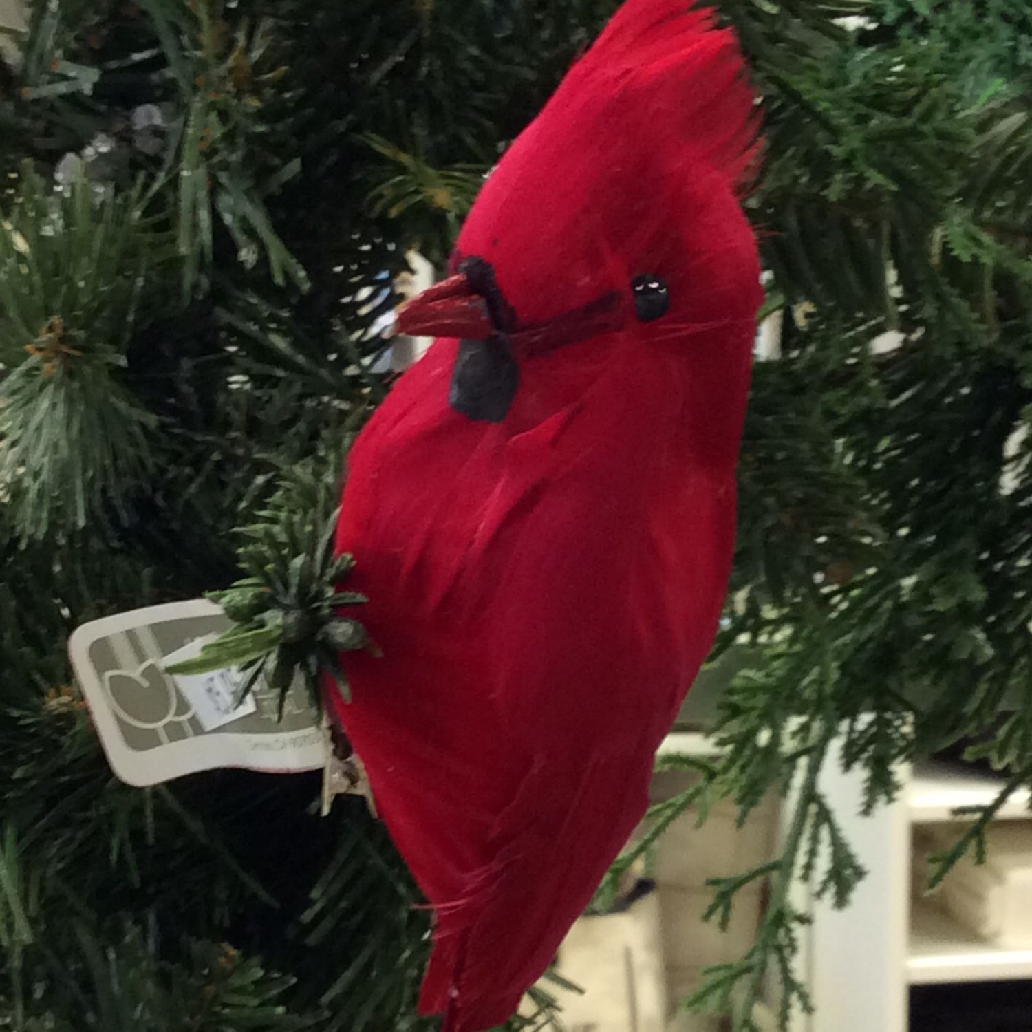 Ornament clip on- Cardinal-large