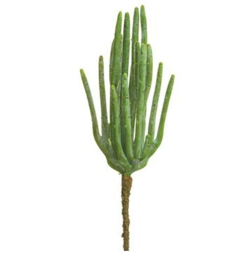 Cactus - 10"