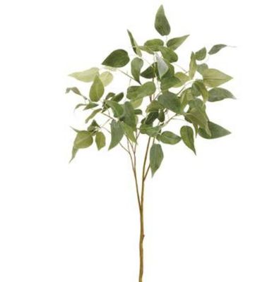 36" Clematis Leaf Spray