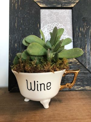 DIY Succulent Bar: Create Your Own Botanical Moment
