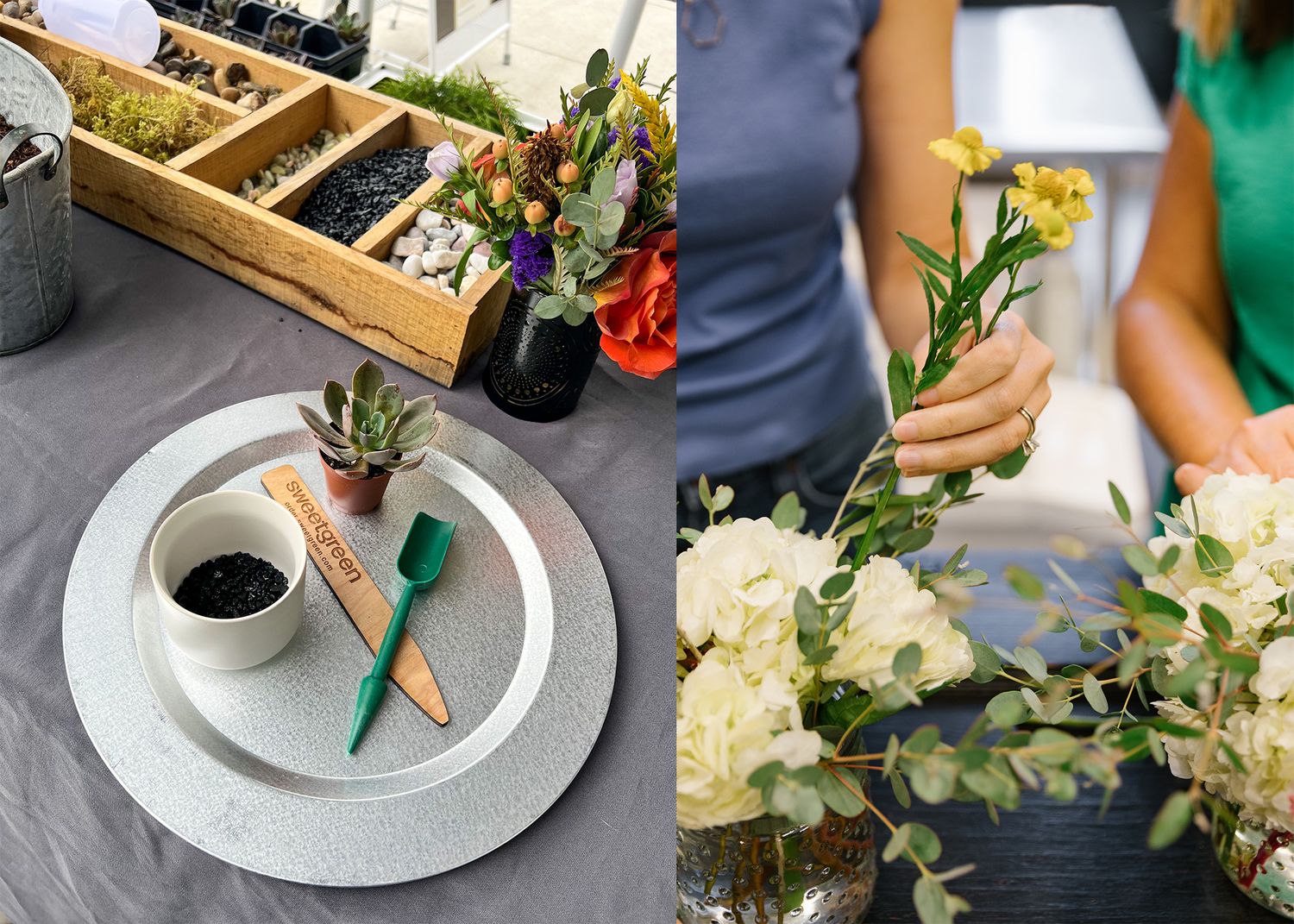 DIY Succulent Bar: Create Your Own Botanical Moment