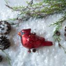 Ornament -Cardinal Bird