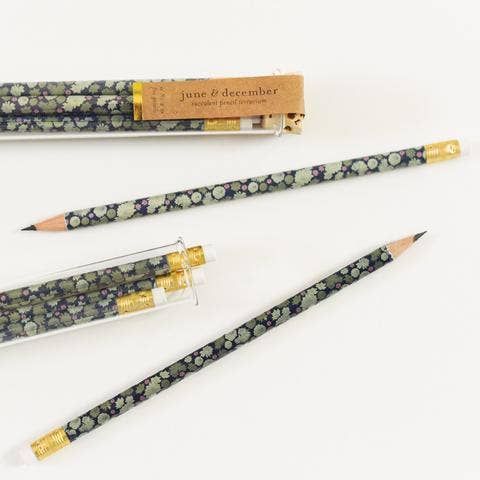 Pencil Terrarium-Succulent
