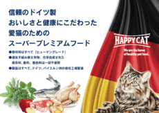 HAPPY CAT