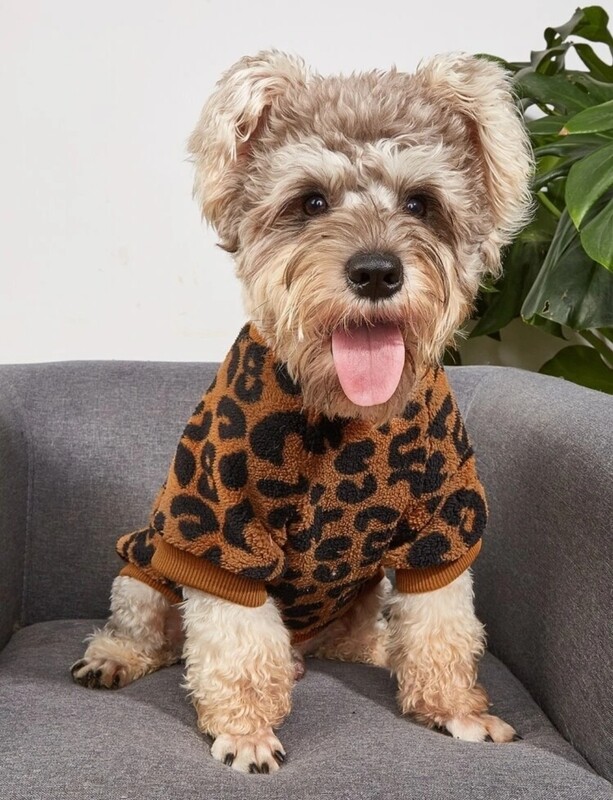Trendy Leopard Print Dog Sweater