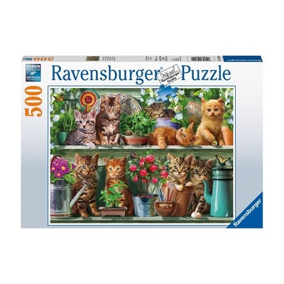 Ravensburger - Cats on the Shelf 500 piezas