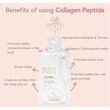 Beauty Focus Collagen