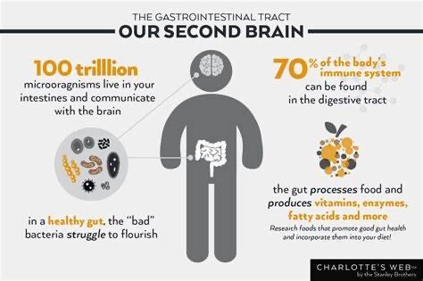Gut Health (Nu biome)