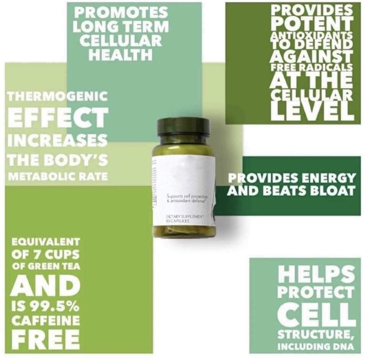 Bloat Buster  120 count (Tegreen)