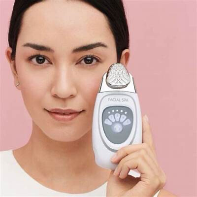 Facial Spa aka Wrinkle iron