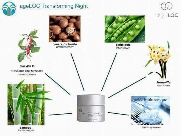 Transforming Night