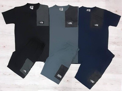 The North Face T-shirts and Shorts Set in 3 colors The North Face T-shirts and Shorts Set in 3 colors