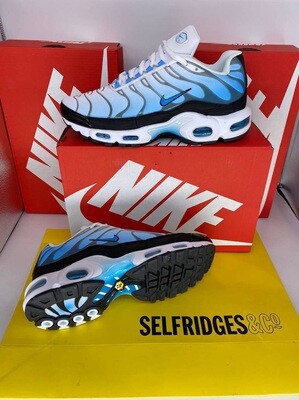 Nike Air Max Plus TNS Replica Celestine Blue Trainers Sale UK