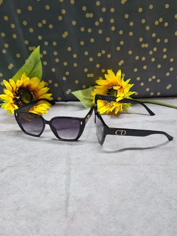 Christian Dior CD Street Style Sunglasses Christian Dior CD Street Style Sunglasses